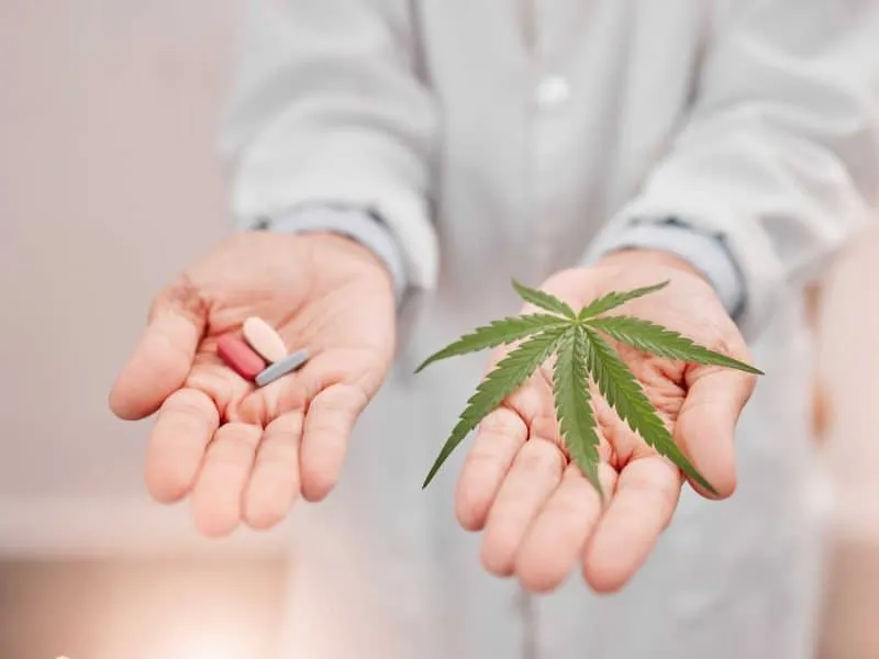 professional holdin cannabis weed and pills