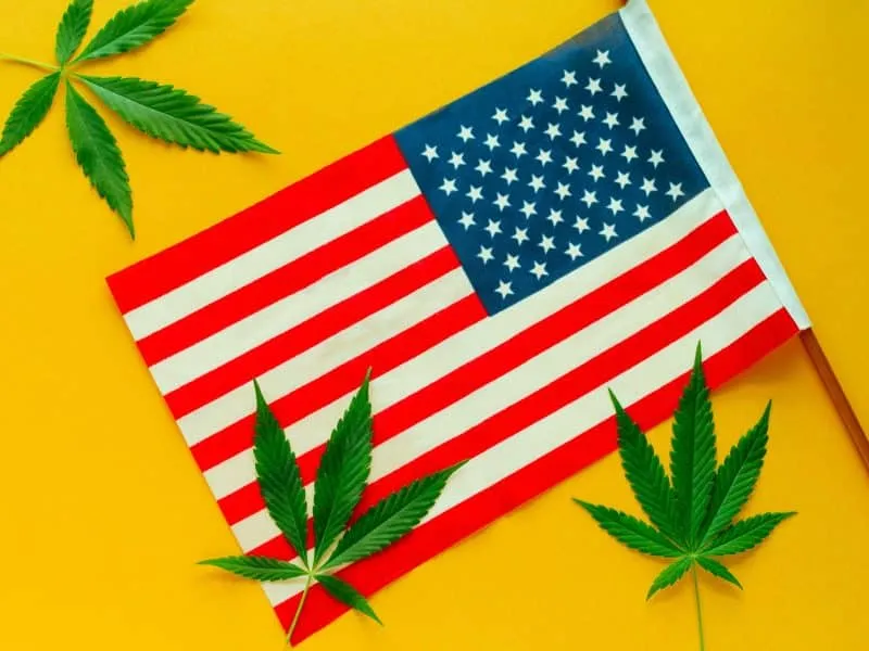 cannabis leaf with american flag