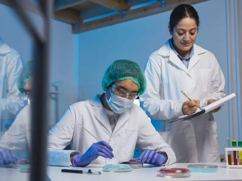 Young Indian assistant in lab coat making notes about changes of microorganism while main researcher analyzing bacteria cells in petri dish