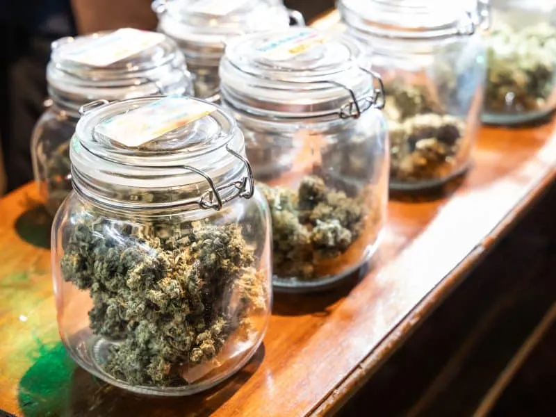 Addictive processed cannabis flower in jar ready to be rolled into cigarette at street stall in Thailand