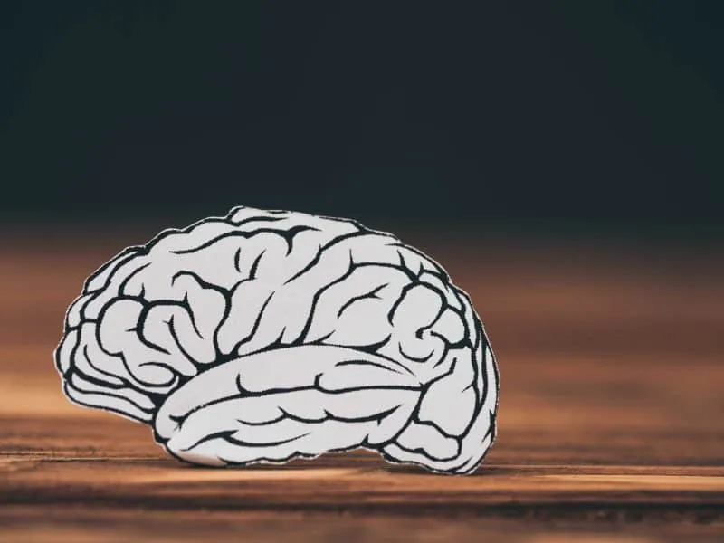close up of paper with brain shape