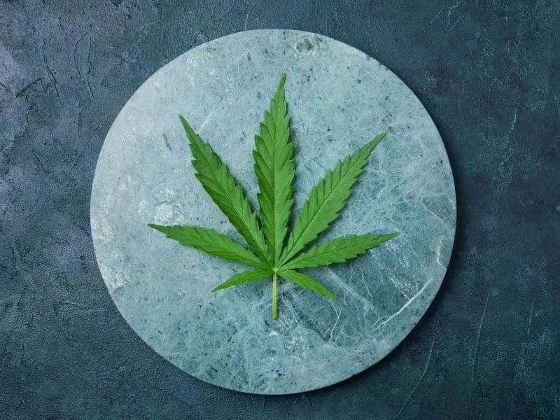 Green hemp leaf on marble background. Top view, copy space. Close up of cannabis leaf.
