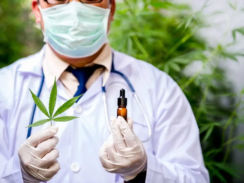 medical researcher holding marijuana and a small bottle