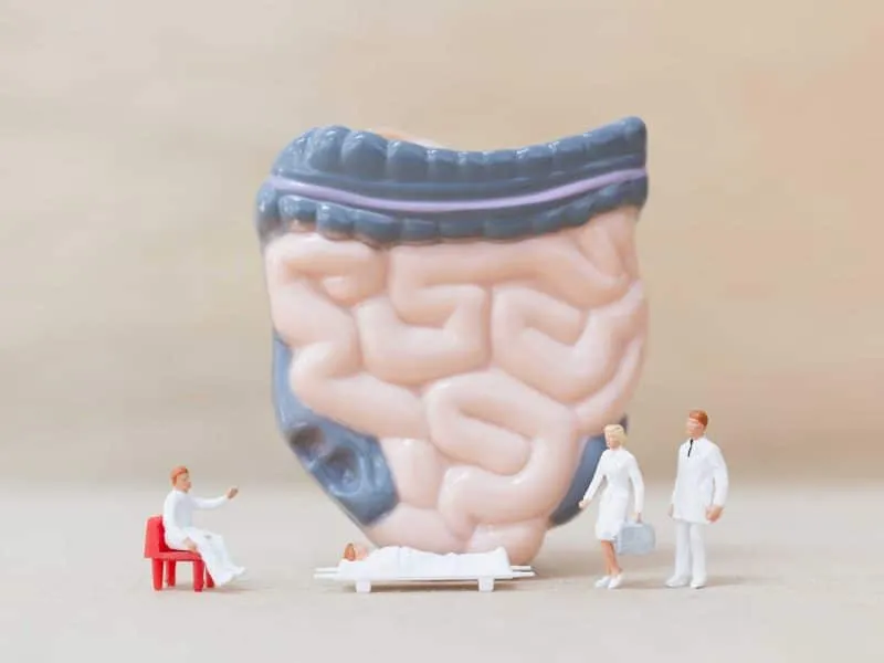 intestine and doctor miniature
