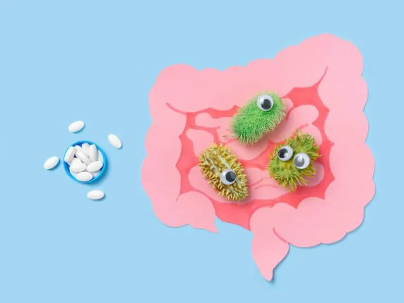 intestines with bacteria and medicine pill