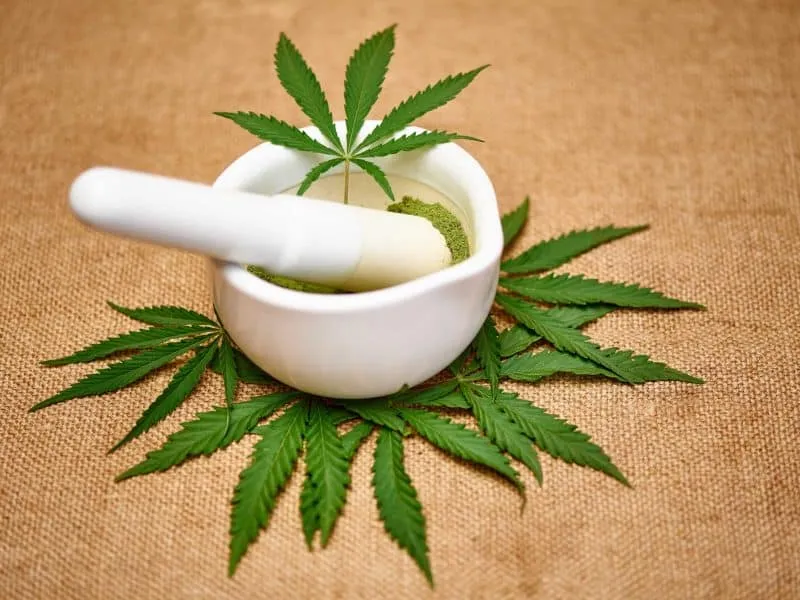 medical cannabis with mortar and pestle