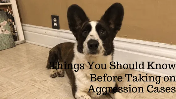 things you should know before taking on aggression cases