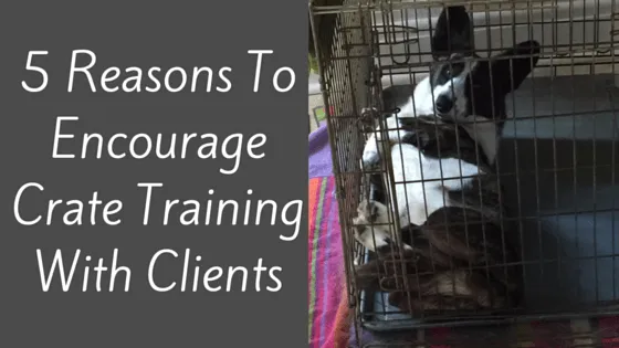 crate training