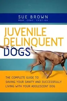 Juvenile Delinquent Dogs