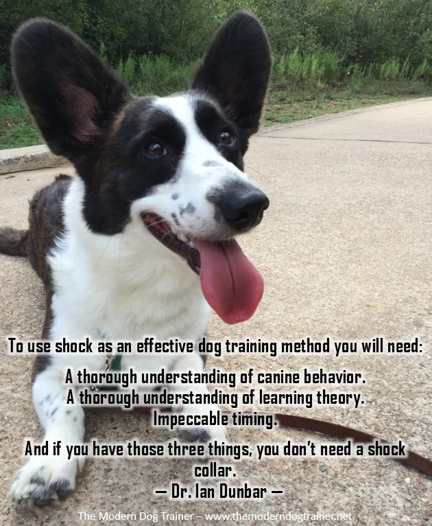 The truth about Shock Collars