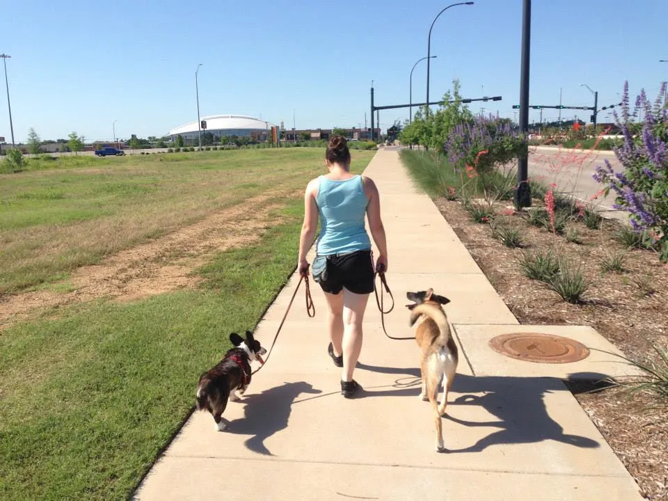 loose leash walking