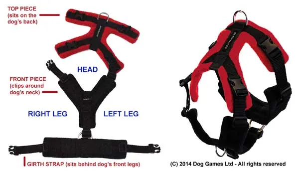 perfect fit harness