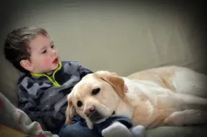 image via Erin Bessey - Bessey's Positive Paws