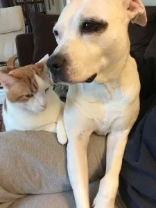 Good friends