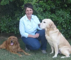 http://www.deedscanineconnection.com Karen with Cassidy (Golden Retriever) and Rock (Labrador Retriever)