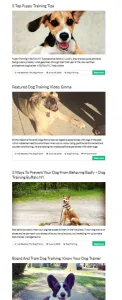 starting a blog for your dog training business