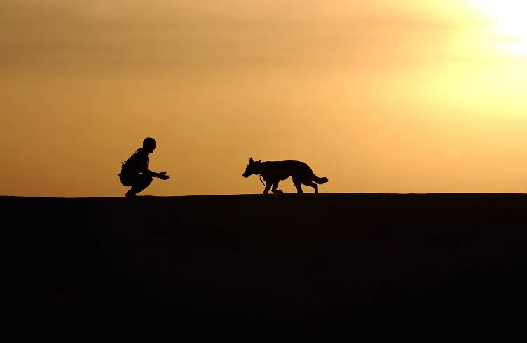 liabilities as a dog trainer