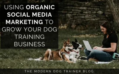4 Tips on How to Use Social Media to Attract Your Ideal Clients