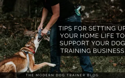 Tips for Setting Up Your Home Life to Support Your Dog Training Business
