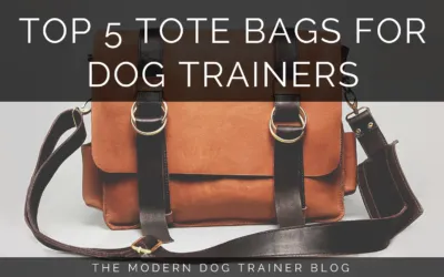 Top 5 Tote Bags For Dog Trainers