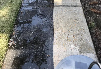Concrete : Driveway Cleaning โ Top Notch Pressure Washing Concrete : Driveway Cleaning - Top Notch Pressure Washing