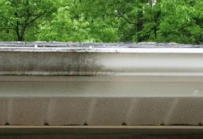 Gutter Brightening โ Top Notch Pressure Washing Gutter Brightening - Top Notch Pressure Washing