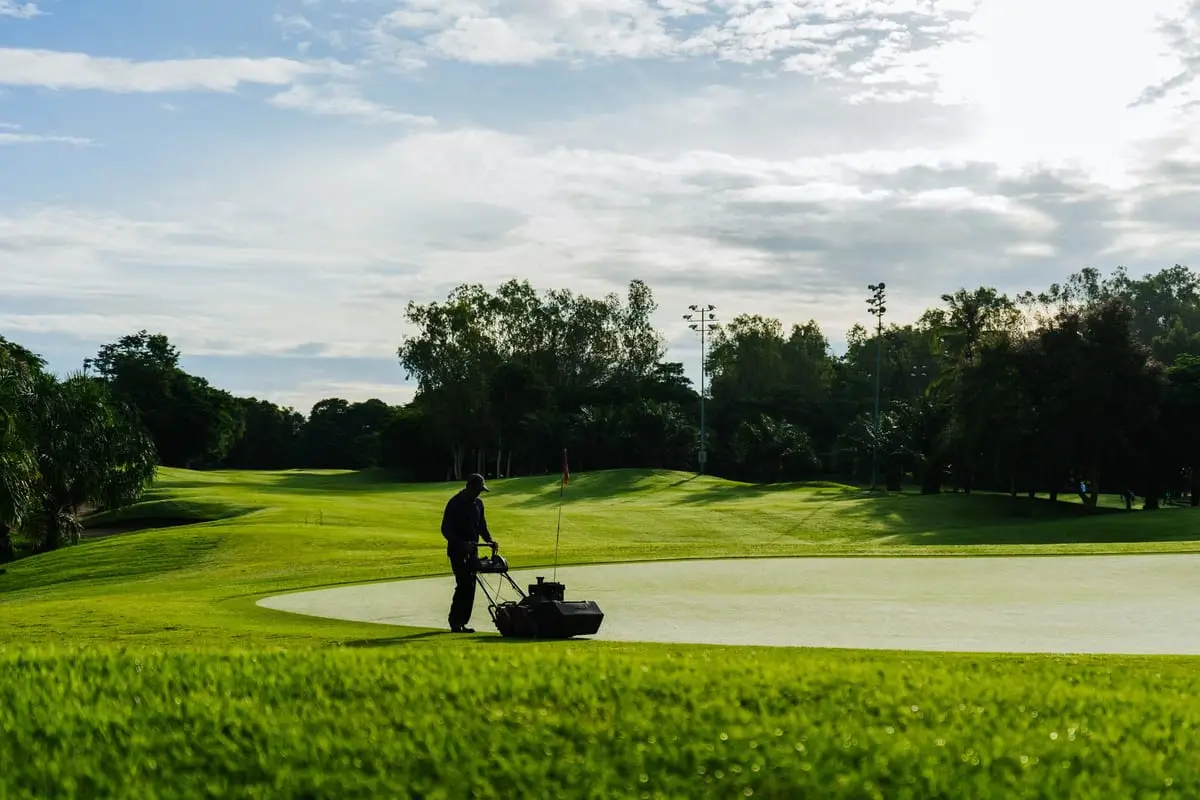 Tondeuse à gazon - GLM660SX Greencut : Avis et prix 2026