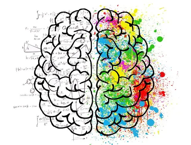 brain, mind, psychology vs ai