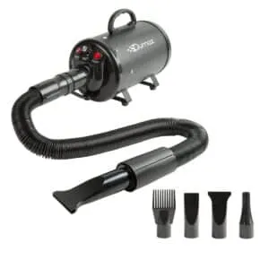 Coat care for doodles with a waterblazer: all information about the dog dryer 3 Waterblazer voor honden
