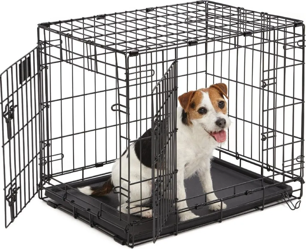 Hond in een kennel op woefkesranch, veilige huisvesting voor dieren.