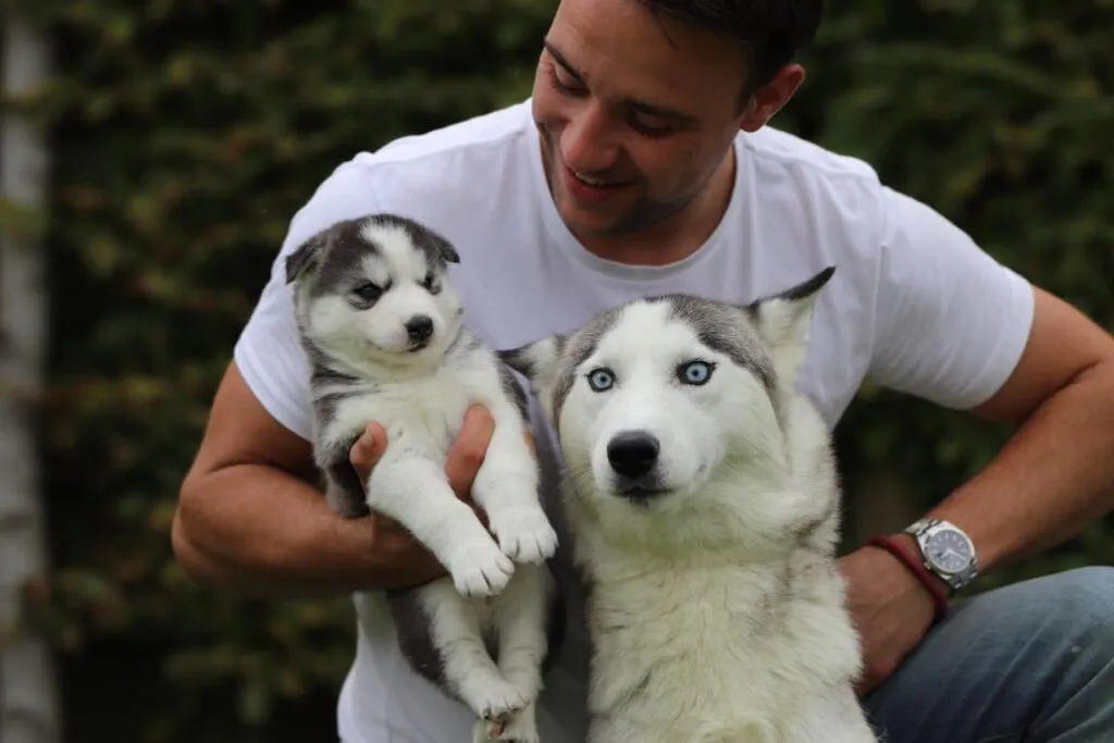 Belgische honden - belgische pups -woefkesranch 1 Belgische honden