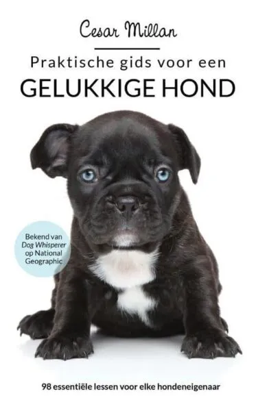 5 meilleurs livres sur les chiens 5 Guide pratique pour un chien heureux - cesar millan