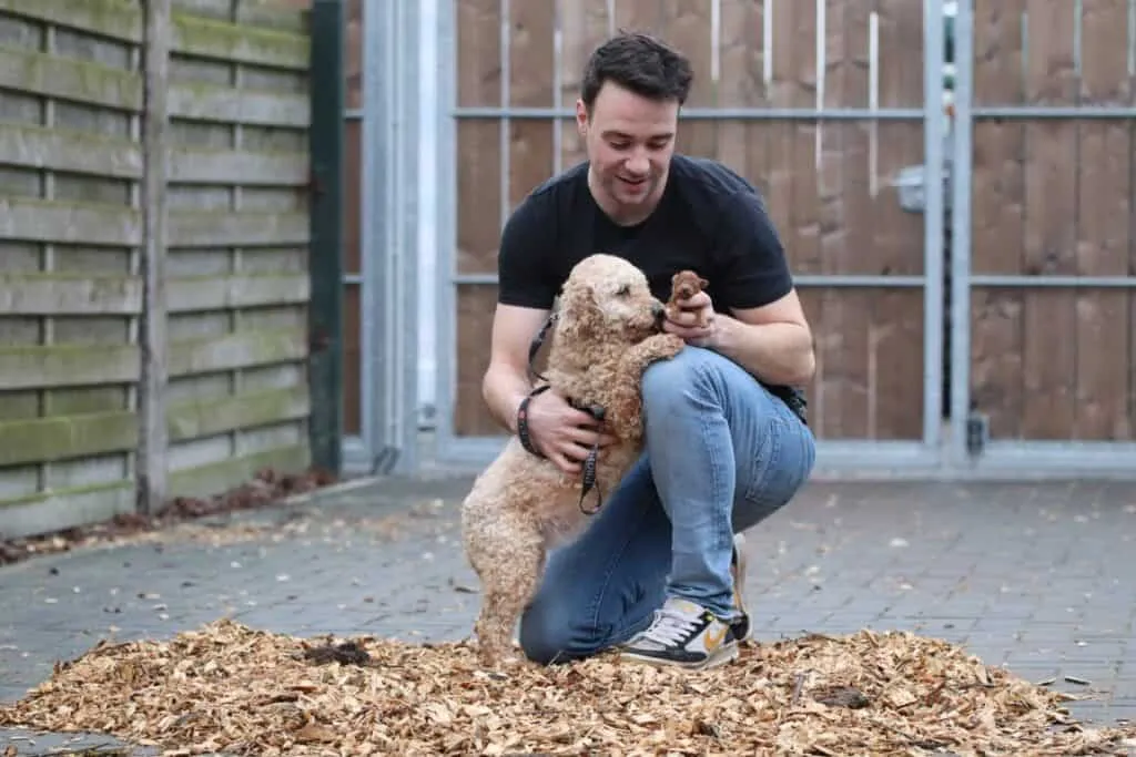 Man speelt met een hond in de tuin van woefkesranch.