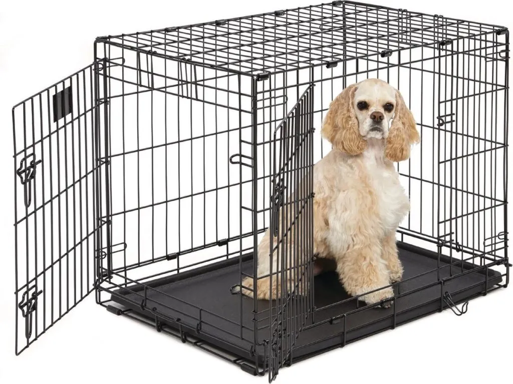 A crate for a beagle: how big should it be? 2 Bench voor een beagle puppy