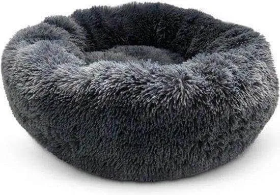 Top 4 dog beds