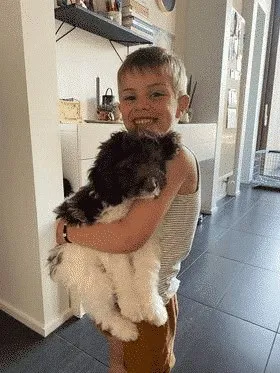 Child-friendly family dog 15 Hypoallergenic family dogs