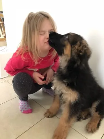 Kind meisje knuffelt een schattige duitse herder puppy.