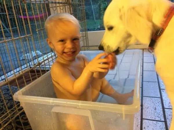 Kleine jongen speelt met hond in een plastic bak bij woefkesranch.