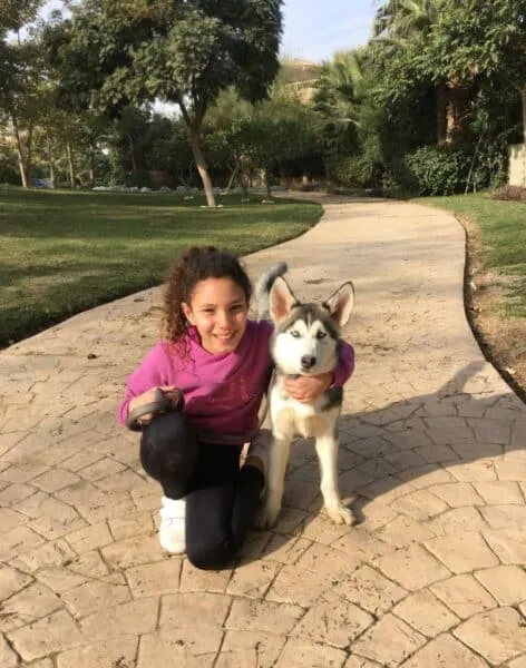 Child-friendly family dog 12 Best family dogs