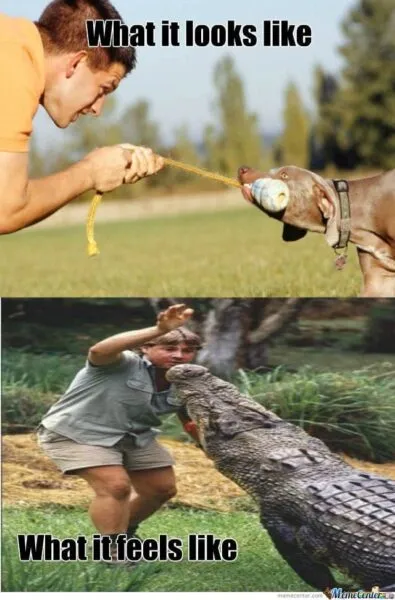Humoristische vergelijking tussen mens en krokodil met touw en bal.