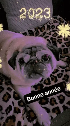 Mops klantenrecensies