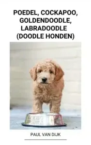 Goldendoodle karakter: wat je moet weten over dit vriendelijke ras 5 Goldendoodle temperament