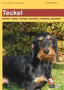 What is the difference between dwarf dachshunds and kaninchen dachshunds? 3 Miniature dachshund weight