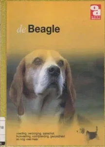 What are the characteristics of a beagle? 2 Beagle levensverwachting