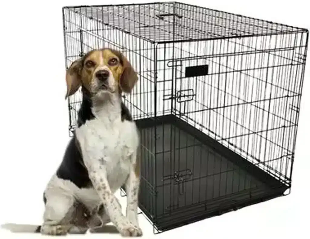 A crate for a beagle: how big should it be? 3 Beagle bench