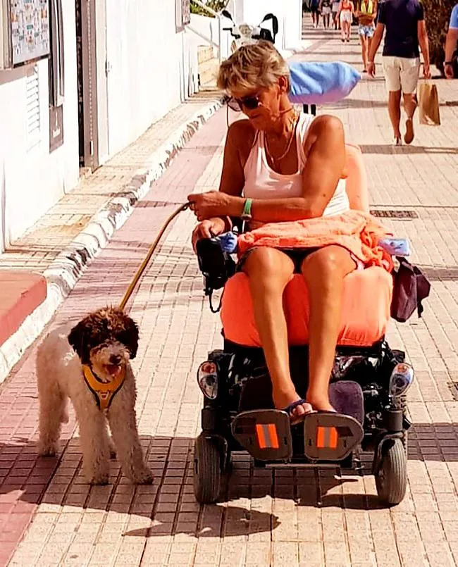 Chiens d'eau vs labradoodle : quel chien hypoallergénique vous convient? 2 Labradoodle comme chien d'assistance pour enfant autiste