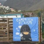 Labradoodle - misti 10 Cafetaria de misti met hond en pizza afbeelding.