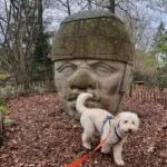 Labradoodle - joost (brussel, be) 12 Labradoodle joost voor een groot stenen beeld in het park.
