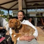Cocapoo - basile 12 Vrouw met haar hond op terras van woefkesranch in zonnige omgeving.