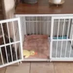 Maltipoo - zazoe 11 Kleine hond in bench met speelgoed en zacht kussen.